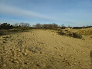 Oostnieuwkerke duinen wandeling in de koude (België)